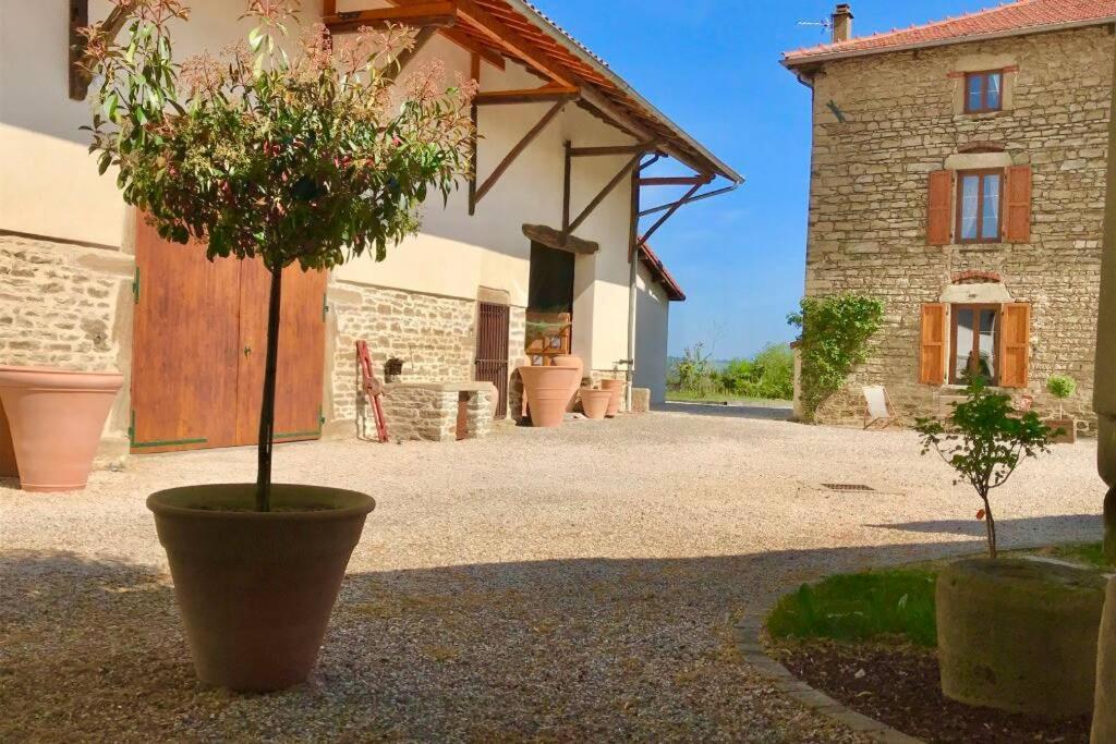 Le Hameau Du Buron - "Le Petit Buron" - Option Spa Eyzin-Pinet Buitenkant foto